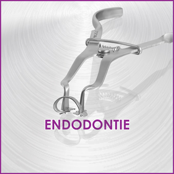 Günstige Instrumente für die Endodontie
